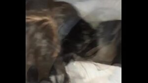 No Debi Dejarme Grabar… DIOS ES QUE ESTABA TAN e…